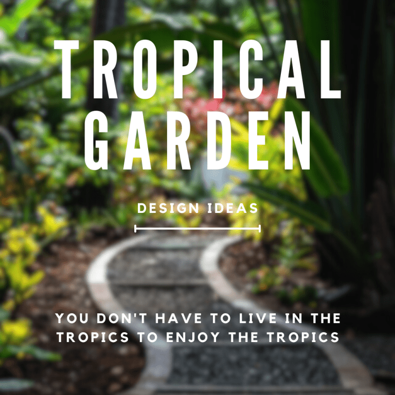 tropical garden design ideas (1)
